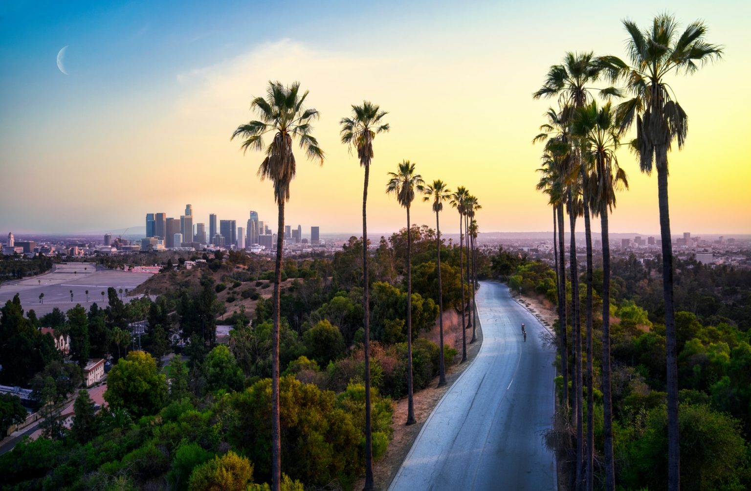 Road lined with palm trees with Los Angeles skyline in background