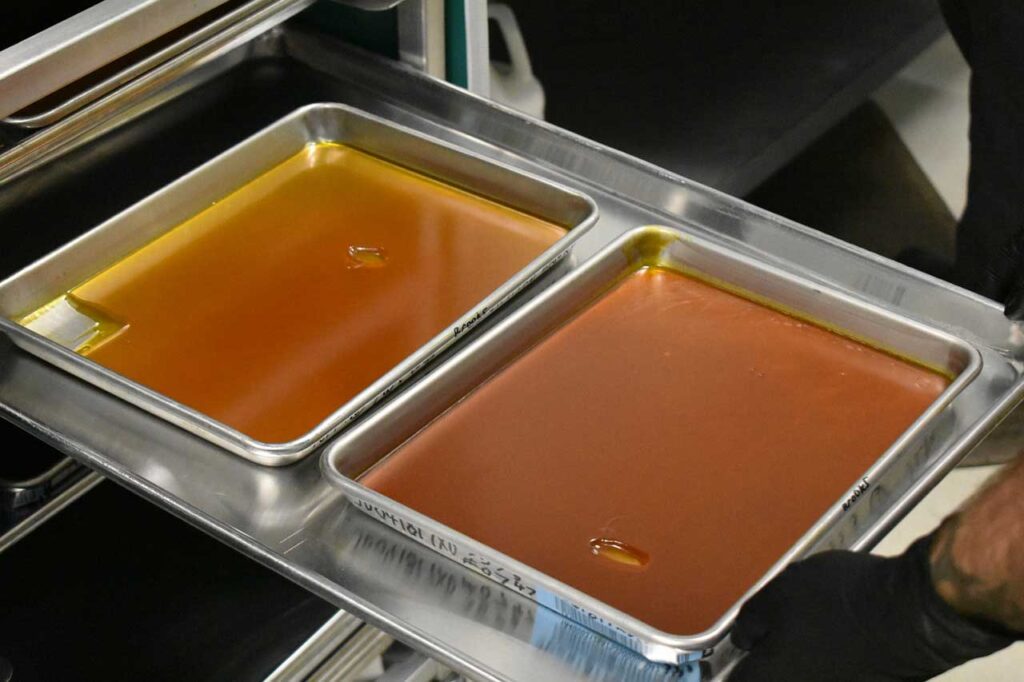 Two trays of cannabis concentrate