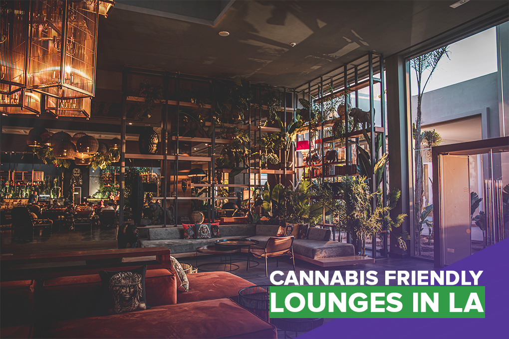 Best Cannabis Lounges Los Angeles