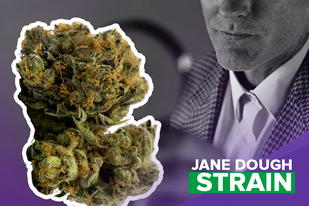 Jane Dough Strain - Featured Image