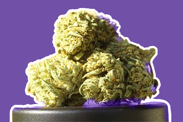 Cannabis flower on a scale with a purple background 